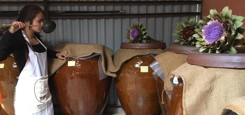 Rượu ngâm Atiso