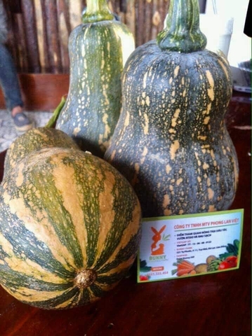 Bí đỏ (500g - 1Kg)