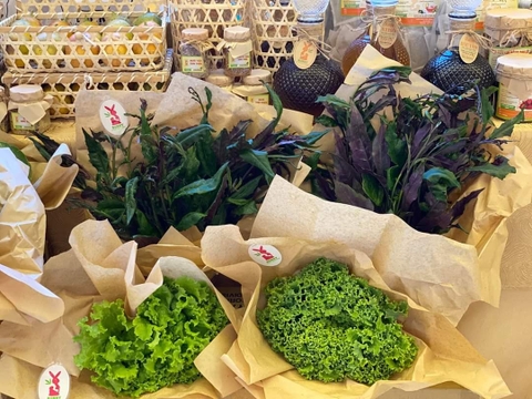 Bó xôi (500g - 1Kg)