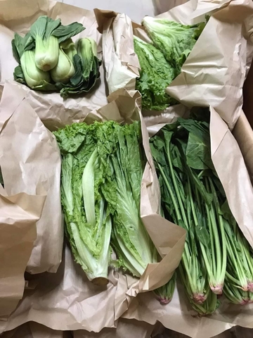 Bó xôi (500g - 1Kg)