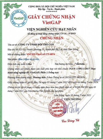 Cà chua Beep (500g - 1Kg)