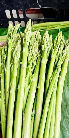 Măng tây (500g - 1Kg)