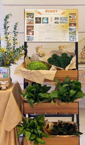 Ớt chuông (500g - 1Kg)
