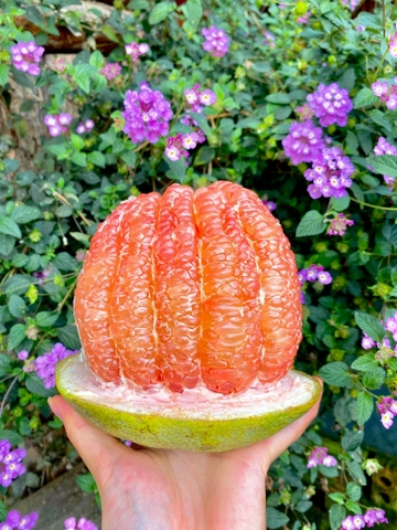 Bưởi da xanh (1Kg)