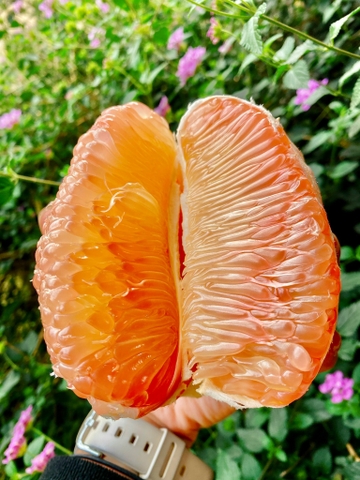 Bưởi da xanh (1Kg)