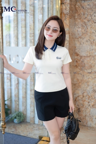 ÁO THUN POLO CỔ PHỐI, THÊU CỔ VÀ NGỰC AP112