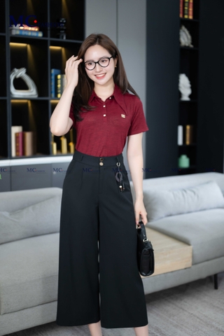ÁO THUN POLO PHỐI PHỤ KIỆN AP111