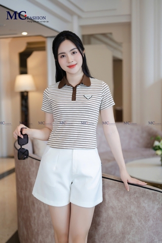 Áo thun kẻ ngang AP255