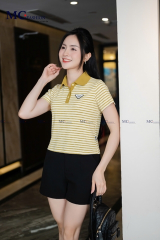 Áo thun kẻ ngang AP255