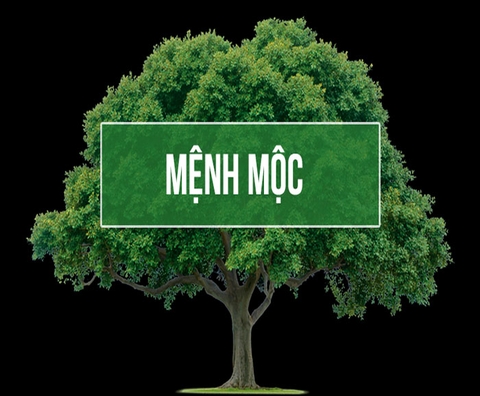 MẶT DÂY CHUYỀN ĐÁ PHONG THUỶ CHO NGƯỜI MỆNH MỘC