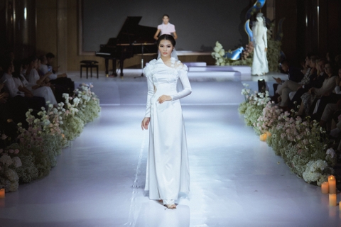 AD Bách Miên (BST Bách Hoa)