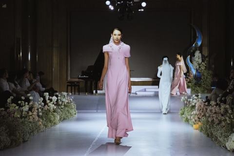 AD Bách Nhi (BST Bách Hoa)