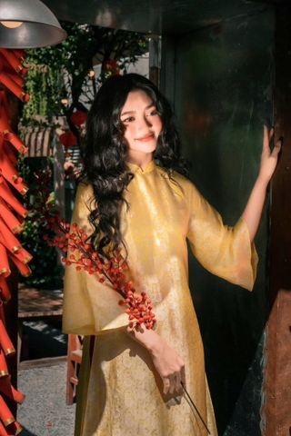 AD Diễm Lưu 2 (BST Diễm)