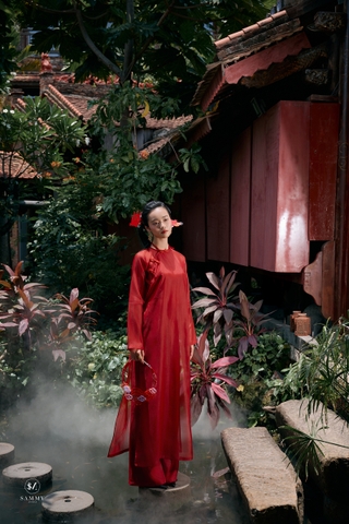 AD Diệp Hoa (BST Tài Hoa)