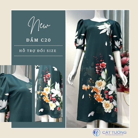 ĐẦM C20