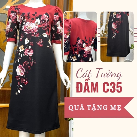 Đầm C35