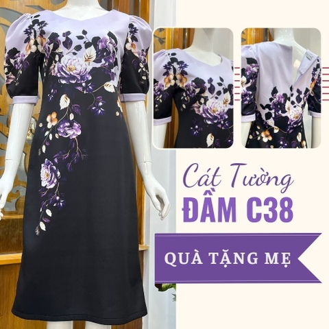 Đầm C38