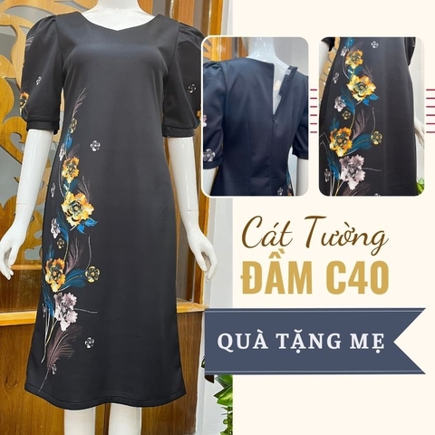 Đầm C40