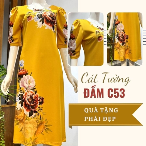 Đầm C53