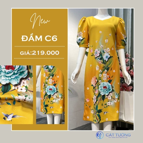 Đầm C6