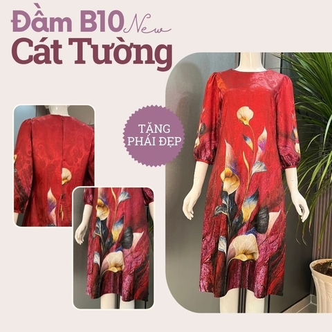 Đầm B10