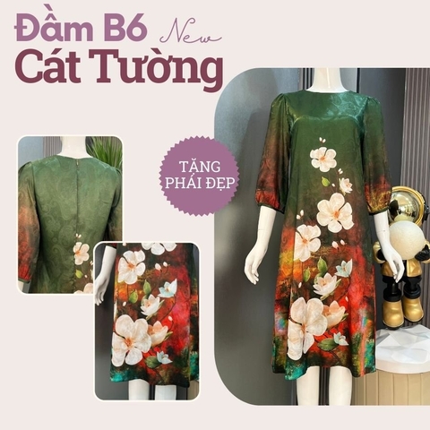 Đầm B6