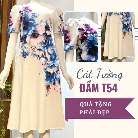 Đầm T54