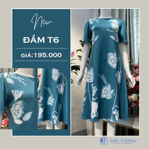 Đầm T6
