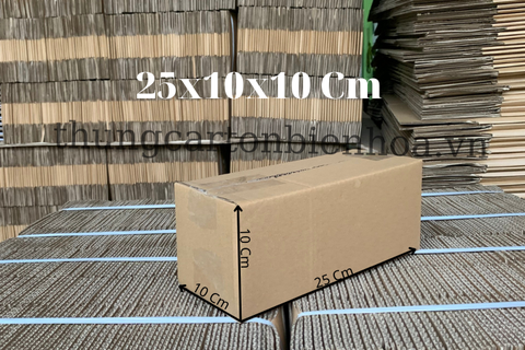100 Hộp Carton 25x10x10CM