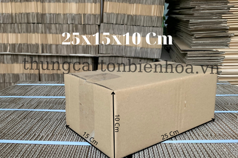 100 Hộp Carton 25x15x10CM