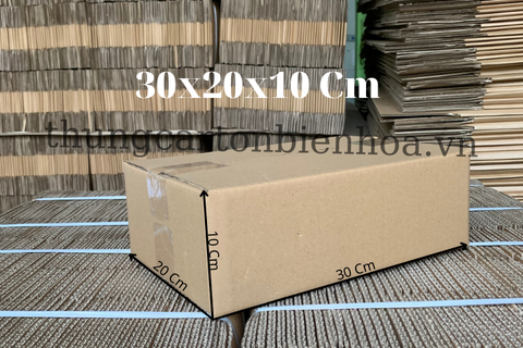 100 Hộp Carton 30x20x10CM