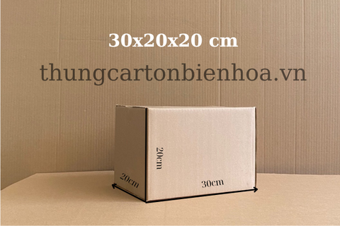 100 Hộp Carton 30x20x20 CM