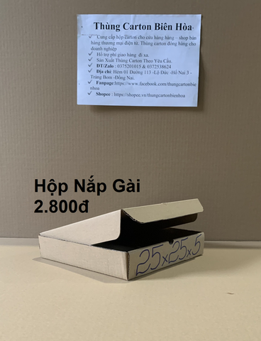 100 Hộp Nắp Gài 25x25x5CM