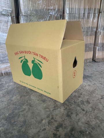 Thùng Carton 5 Lớp