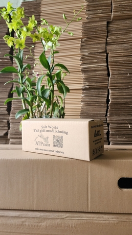 Hộp Ship Cod in Logo theo yêu cầu