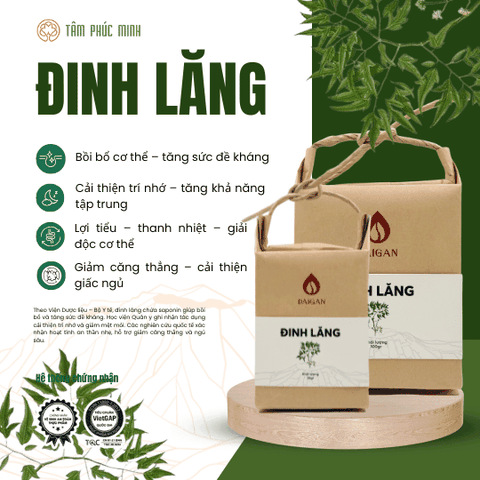 Trà đinh lăng DAIGAN