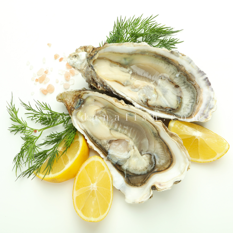 Cách Ăn Hàu Sống Béo, Ngậy, Không Tanh Và Những Điều Cần Chú Ý