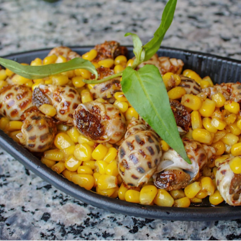 Ốc Hương Xào Bắp | Mách Bạn Công Thức Chế Biến Tại Nhà Ngon Như Tiệm