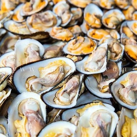 Sò Dẹo Hấp Sả | Bật Mí Công Thức Chế Biến Nhanh Gọn Và Thơm Ngon