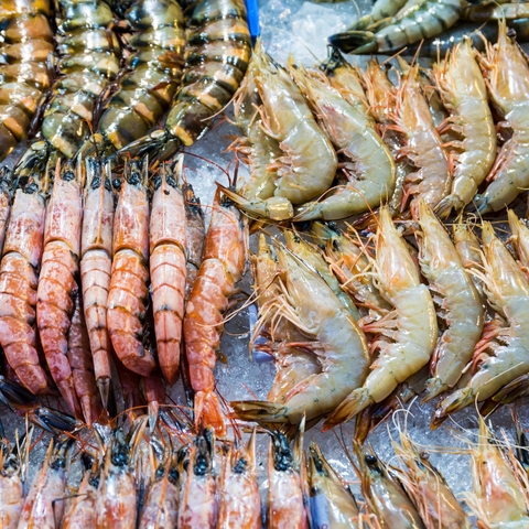 Vì sao chúng ta nên ăn thủy hải sản nhiều hơn?