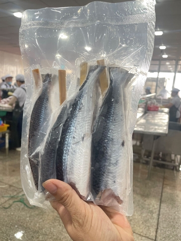 Cá chuồn xiên que
