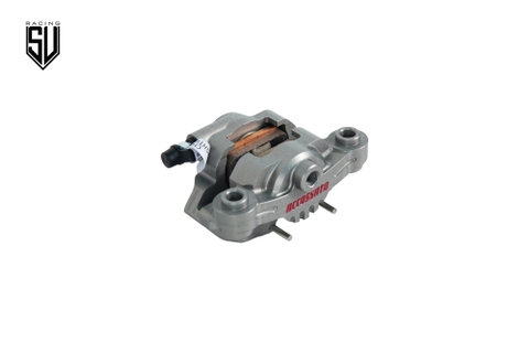 Heo thắng Accossato Moto3 P2.24