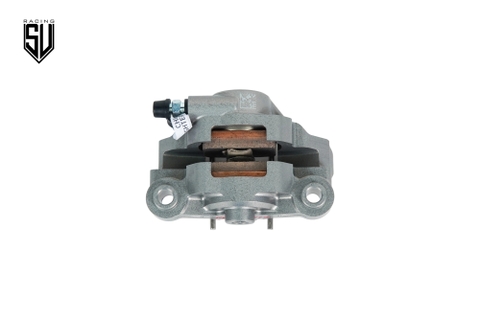 Heo thắng Accossato Moto3 P2.24