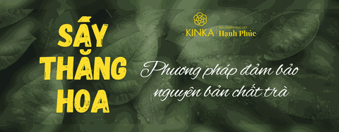 Công nghệ sấy Thăng hoa - Phương pháp đảm bảo nguyên bản chất trà