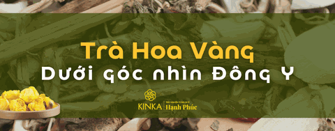 Trà Hoa Vàng - Dưới góc nhìn Đông Y