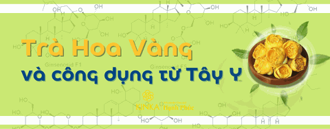 Trà Hoa Vàng - Dưới góc nhìn Tây Y