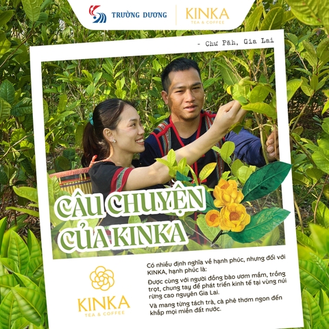 Trà Đinh Lăng 50g (25 gói x 2g)