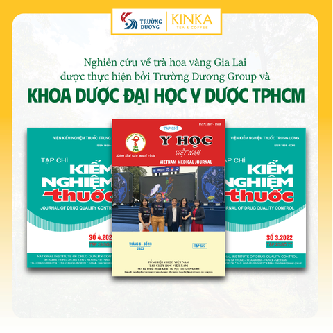 FOUNTAIN OF YOUTH | Trà Hoa Vàng Gia Lai - Lá Xanh & Hoa 120g (60 gói x 2g)