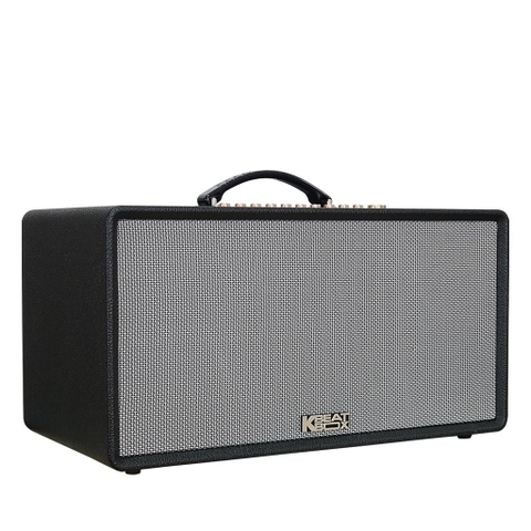 Acnos Flac 36 ( 200W, Bluetooth 5.0, Kèm 2 Tay Micro)