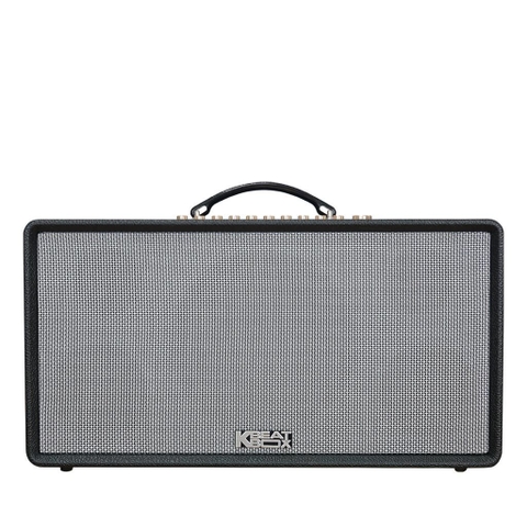 Acnos Flac 36 ( 200W, Bluetooth 5.0, Kèm 2 Tay Micro)
